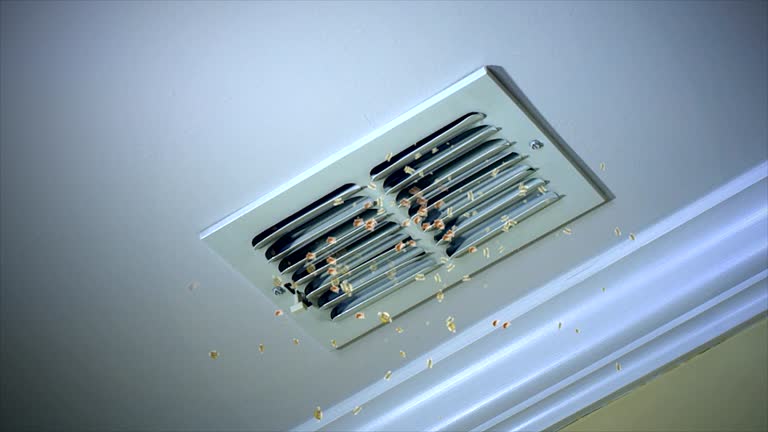Best Air Duct Cleaning Near Me in East Jordan, MI