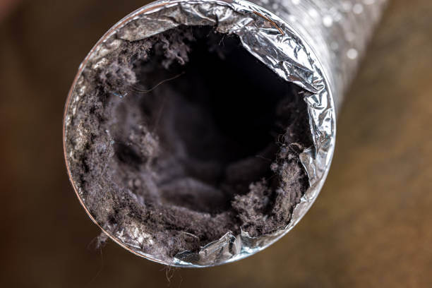 Best HVAC Air Duct Cleaning  in East Jordan, MI