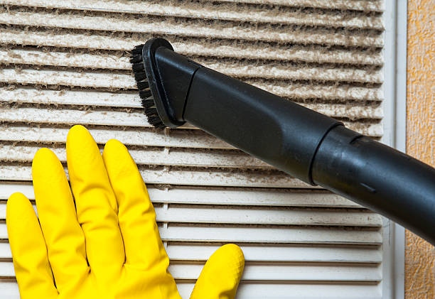 Best Local Air Duct Cleaning Services  in East Jordan, MI